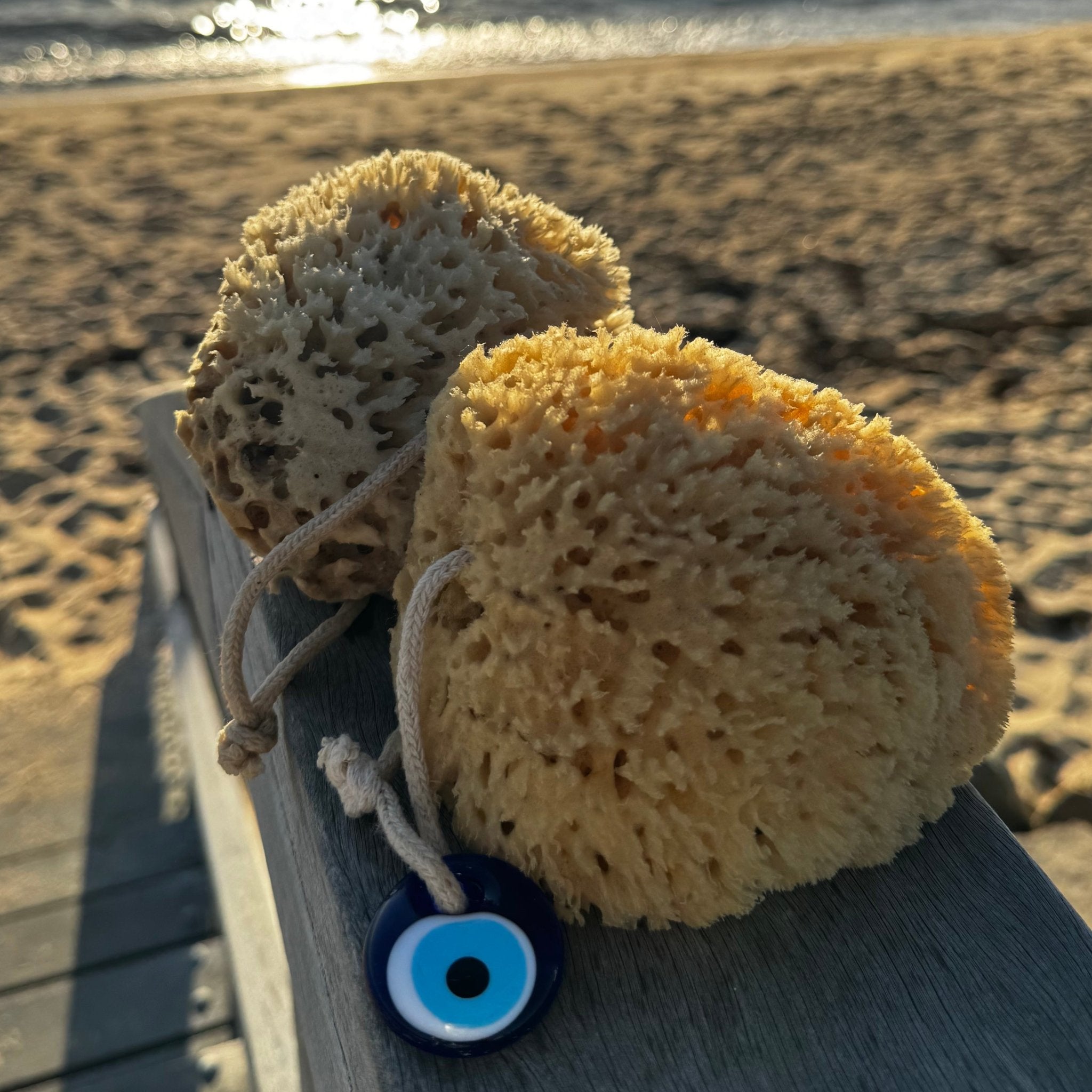 Best Natural Sea Sponge in Australia (2026 Guide) - Aqua Zoi