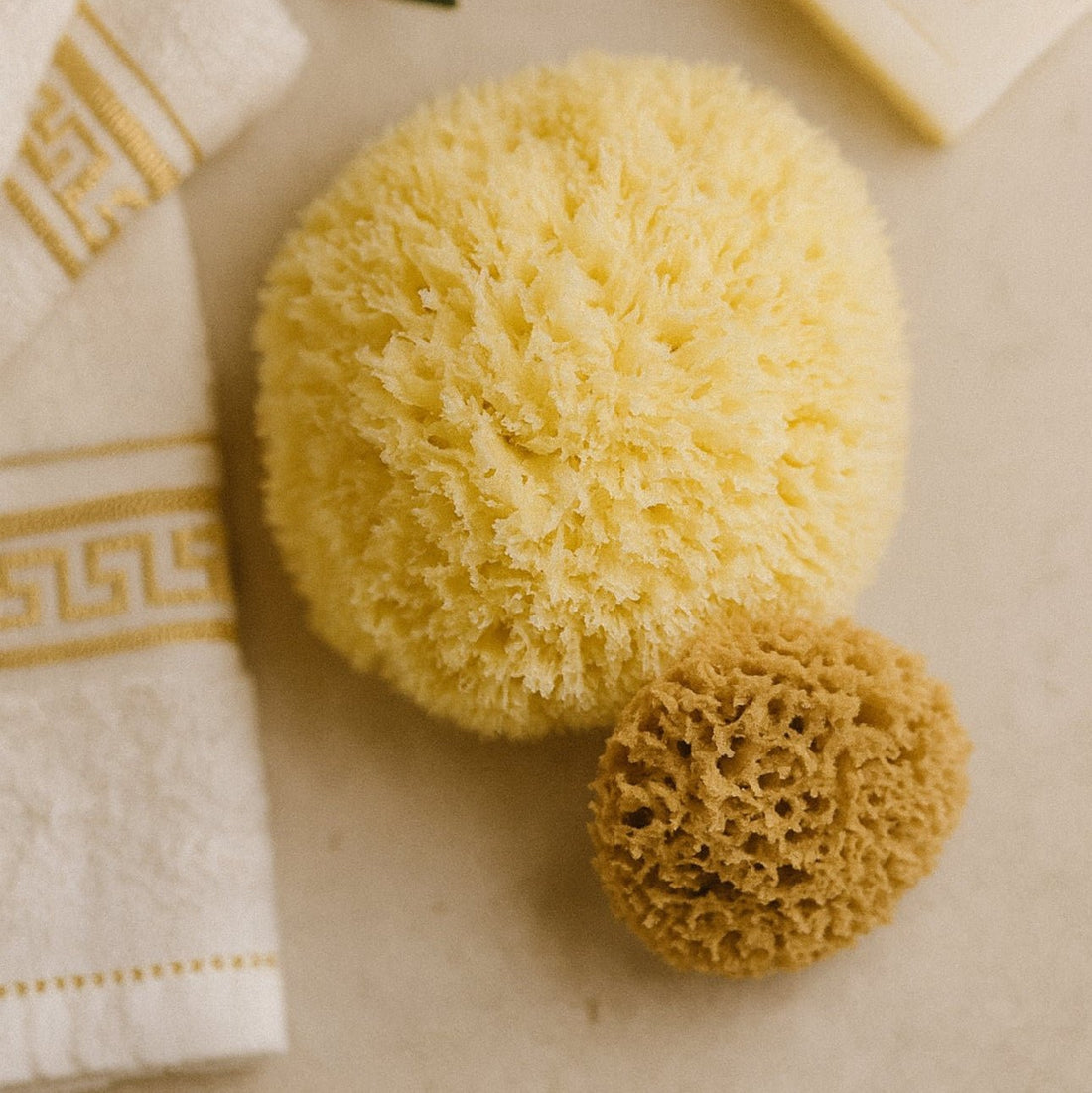 The Best Natural Loofah Alternative in Australia - Aqua Zoi
