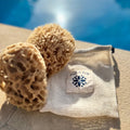 2 natural honeycomb sea sponges with net aqua zoi bag