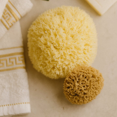 1 body and 1 face sea sponge set