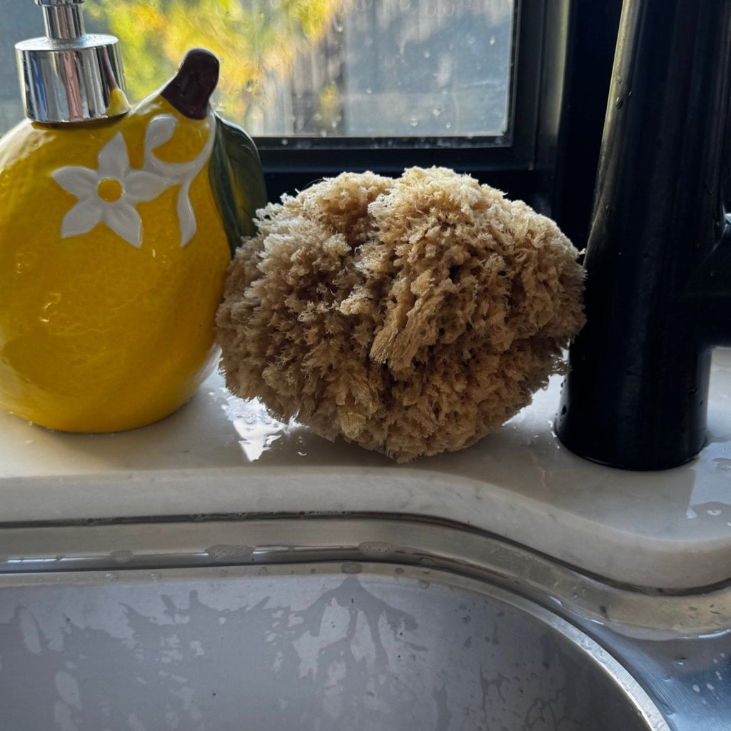 Wild Grass Sponge - Aqua Zoi - natural kitchen sponge