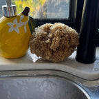 Wild Grass Sponge - Aqua Zoi - natural kitchen sponge