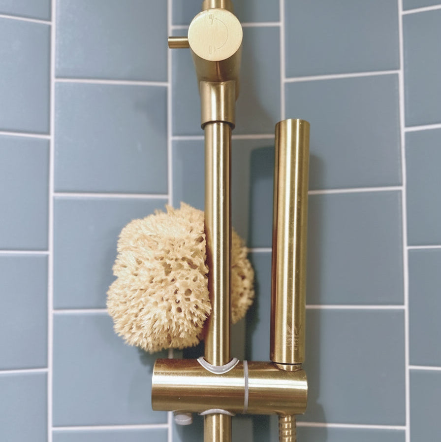Aegean Honeycomb sea Sponge - Aqua Zoi