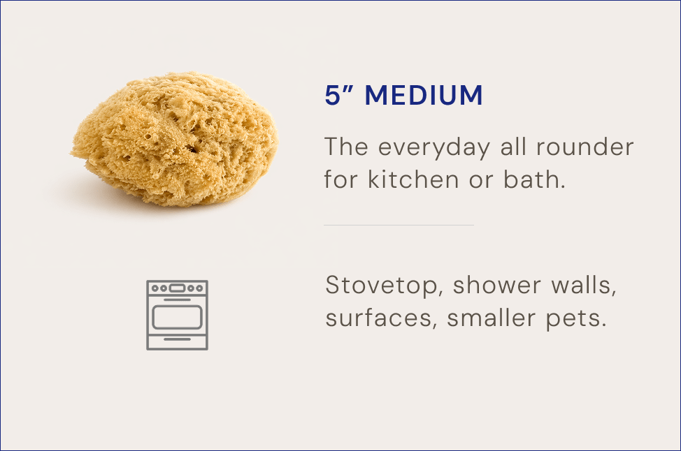 Natural Grass Sea Sponge - Aqua Zoi
