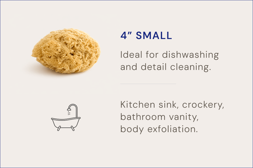 Natural Grass Sea Sponge - Aqua Zoi