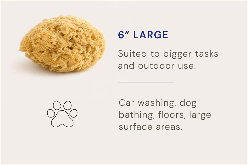Natural Grass Sea Sponge - Aqua Zoi