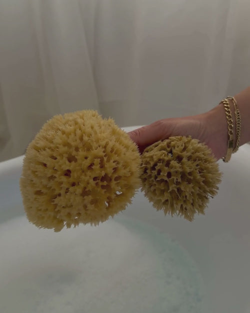 working up a rich lather with a natural sea sponge over a bath