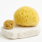 1 large and 1 small honeycomb natural sea sponge