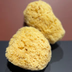 Wild Grass Exfoliating Sponge - Aqua Zoi