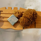 Wild Grass Sponge - COMING SOON - Aqua Zoi