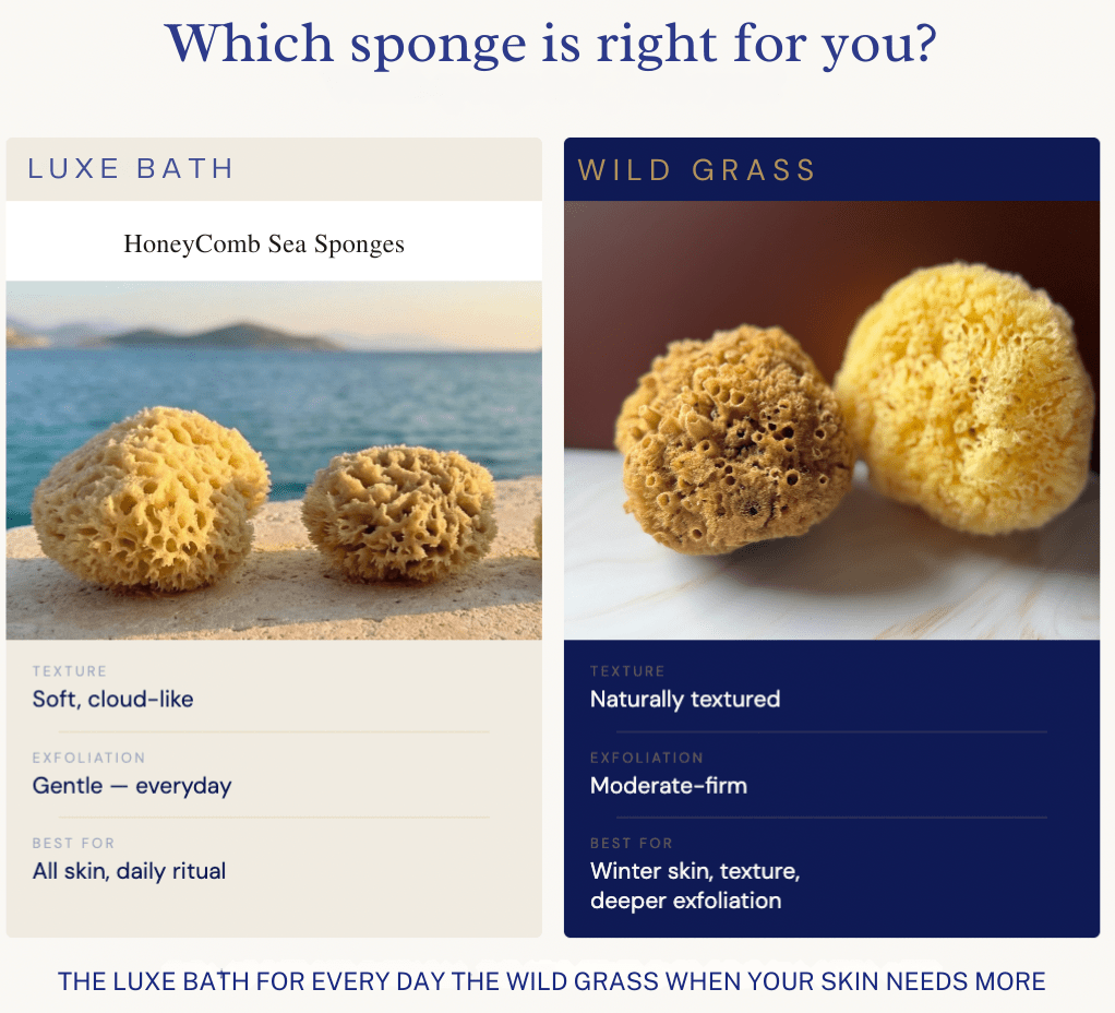Wild Grass Sponge - COMING SOON - Aqua Zoi