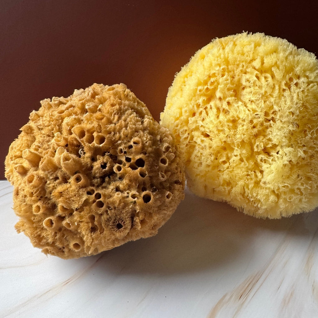 Wild Grass Sponge - COMING SOON - Aqua Zoi
